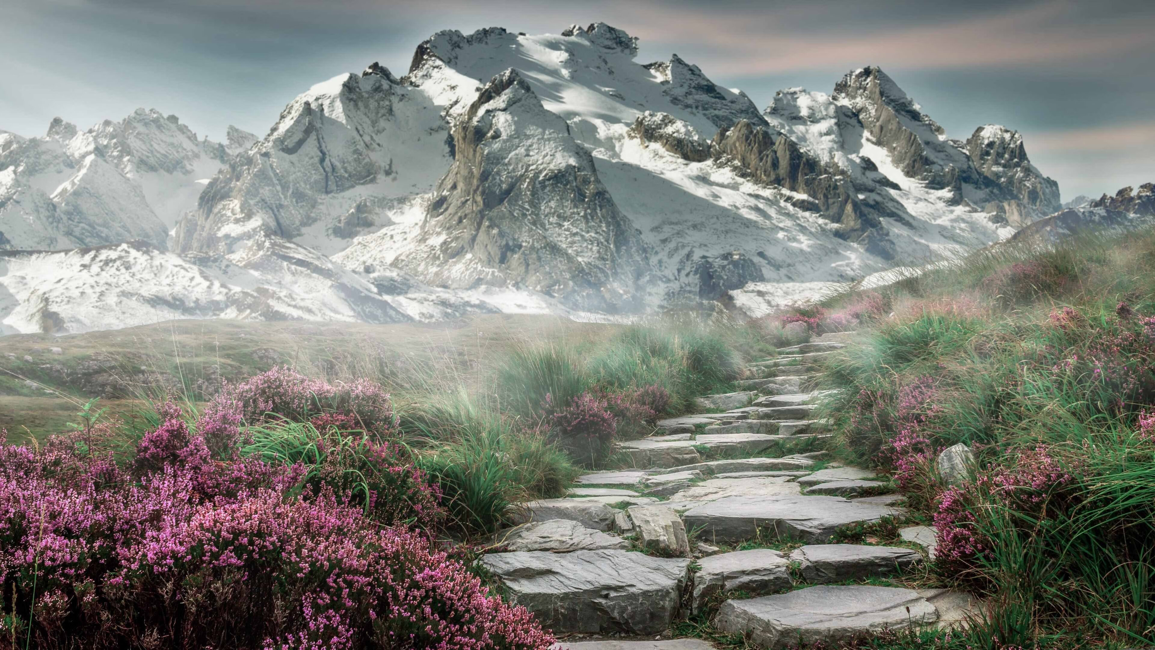 中场魔术师觉醒!若日尼奥导演逆转,塞内加尔三球翻盘智利