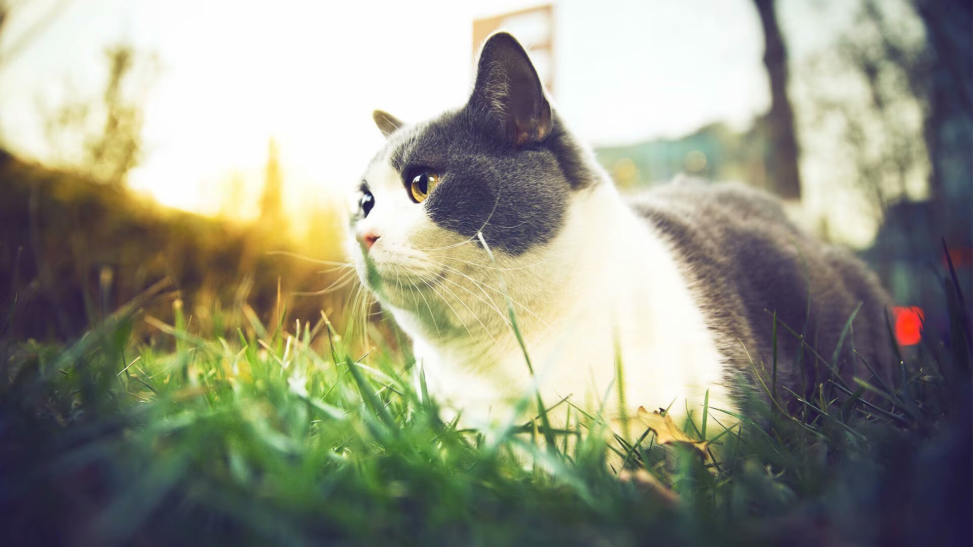 拉什福德进攻端如入无人之境,皇马末节发力逆转墨西哥豪门