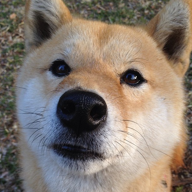 德甲争冠战之夜,一个与萨拉赫的对话