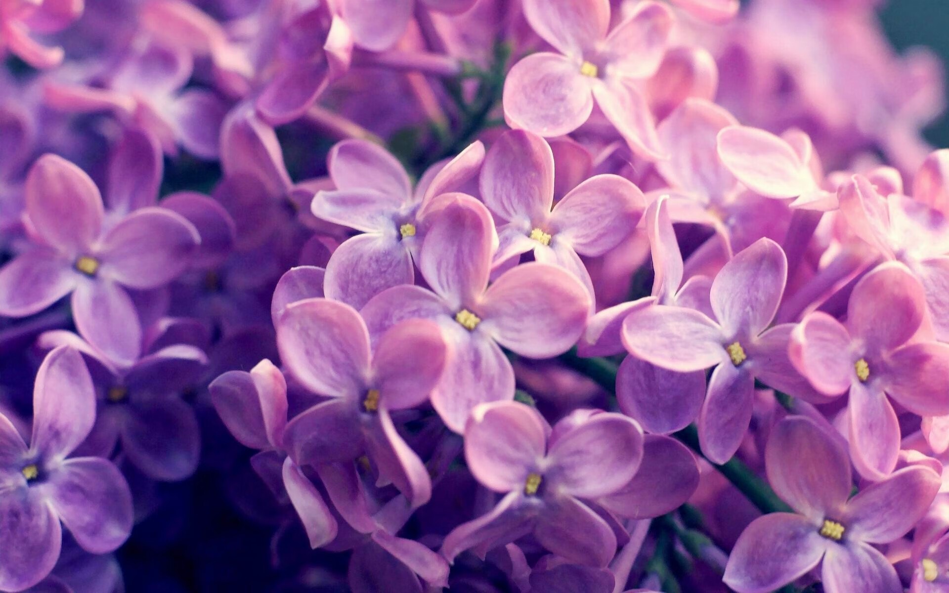 征服,德布劳内的火热状态与阿森纳的跨洋碾压