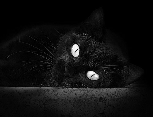 时间的英雄，当莫德里奇的关键制胜遇见埃及的鏖战