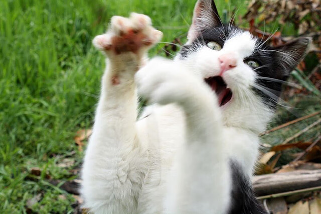 沙漠风暴，伊拉克式高位逼抢如何围剿曼联，维尼修斯闪电刺穿红魔防线